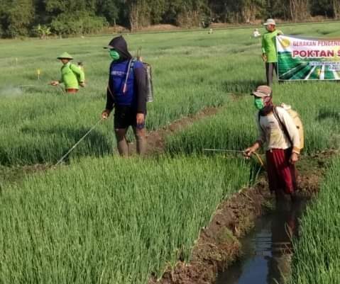 Guru Besar IPB: Sektor Pertanian Terbukti Jadi Penolong Ekonomi ...